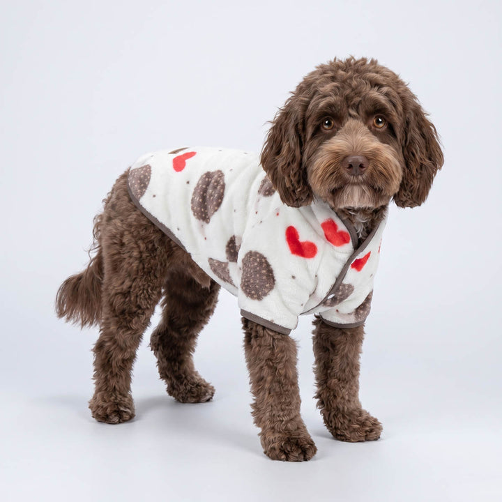 Brown dog wearing a winter dog coat wint funny hedgehog prints