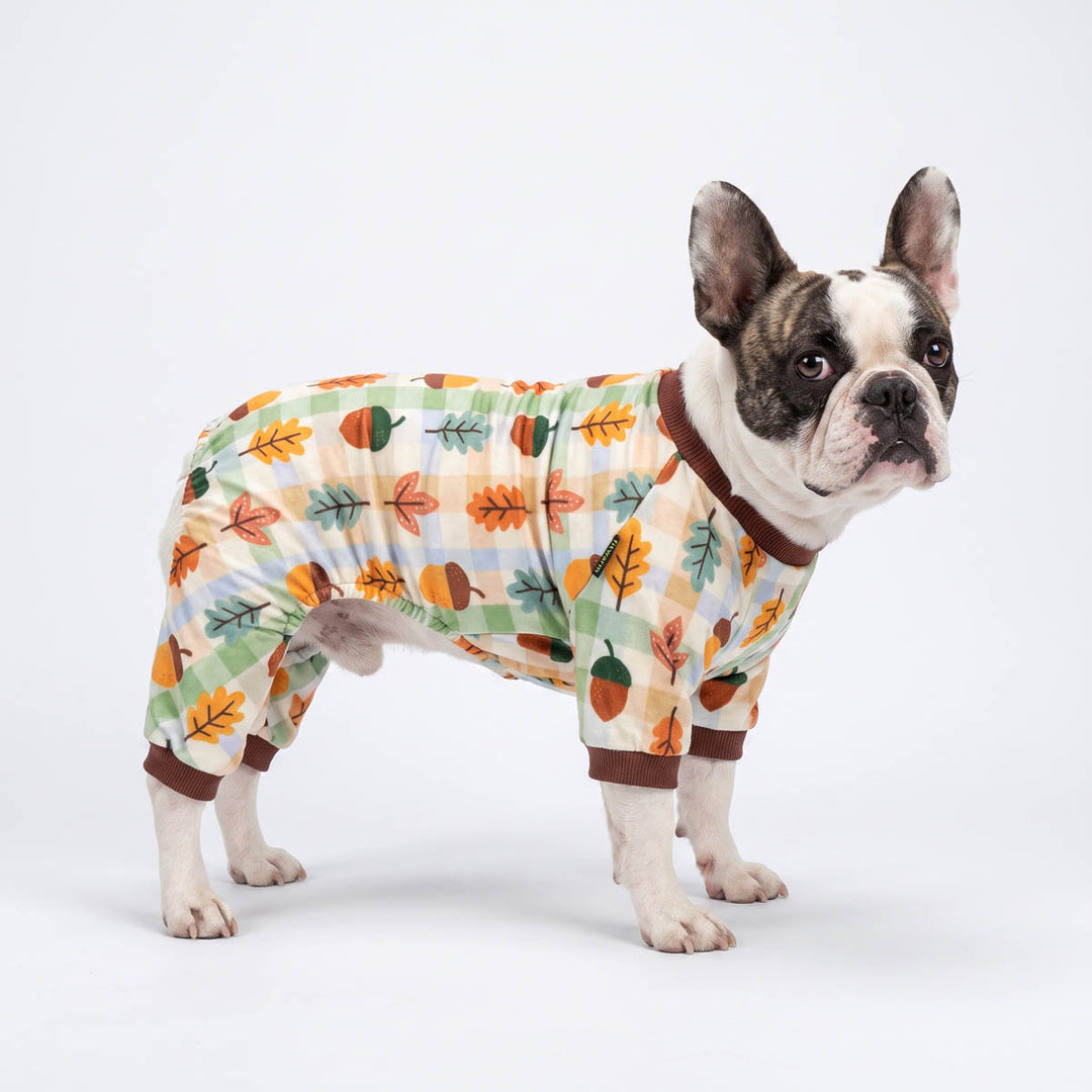 Cozy dog fleece pajamas with acron and maple prints on a Boston Terrier