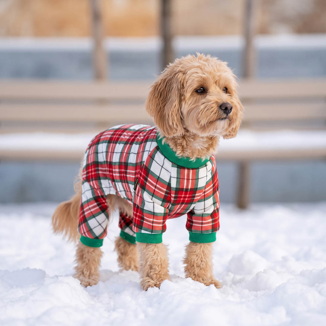 Christmas Plaid Dog Pajamas