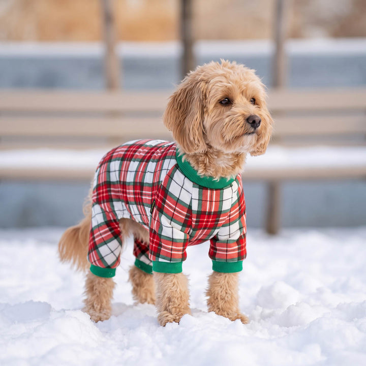 Christmas Plaid Dog Pajamas