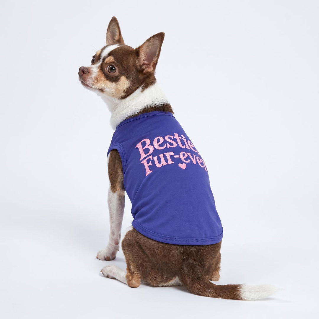Chihuahua sitting on the white background with a dog tank top with 'bestie fur-ever' lettering