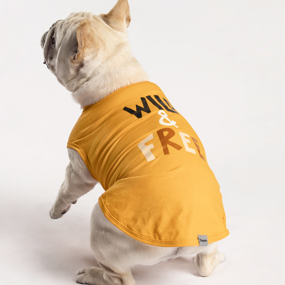 Tiger Themed Dog Shirt for French Bull Dog - Fitwarm Dog Clothes
