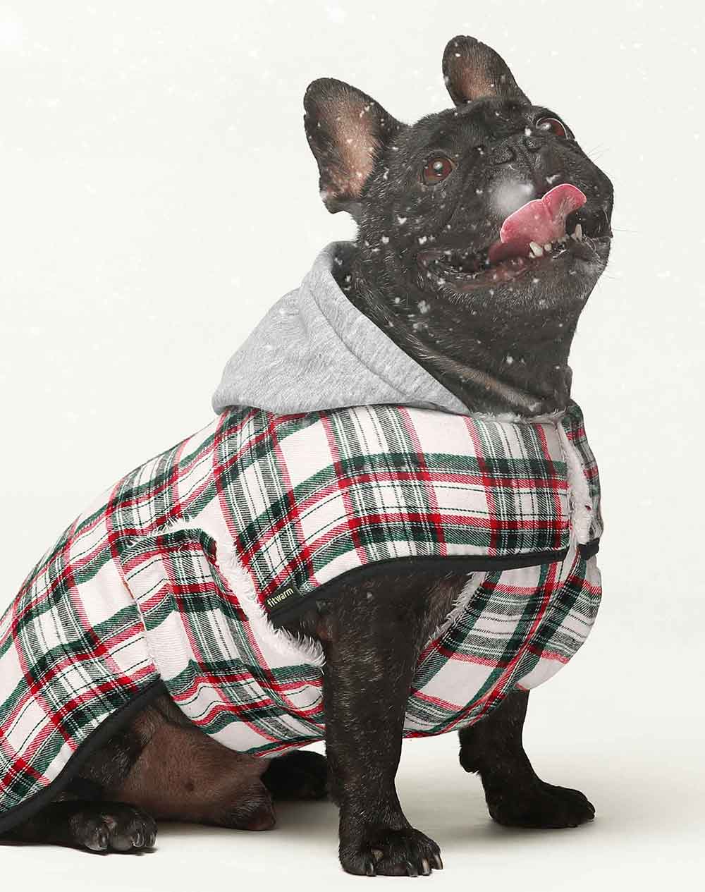 Dog Winter Clothes - Dog Sweaters & Dog Coats New In - Fitwarm