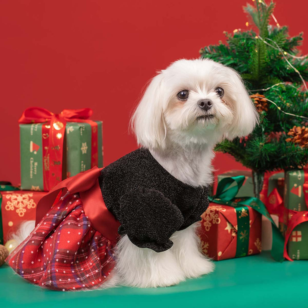 Festive Red Plaid Dog Dress