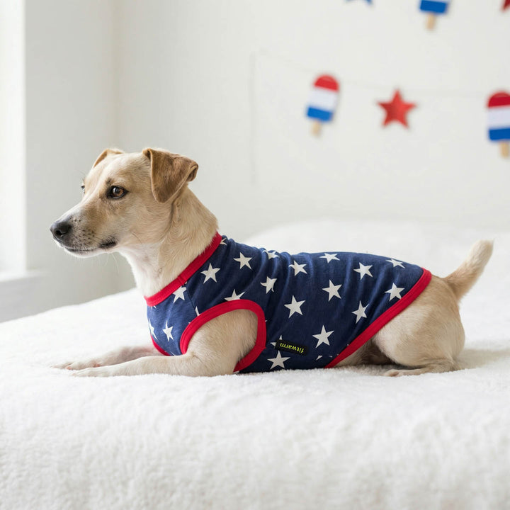 Dog wearing a red, white, and blue star-patterned dog shirt on a white surface with colorful flags in the background