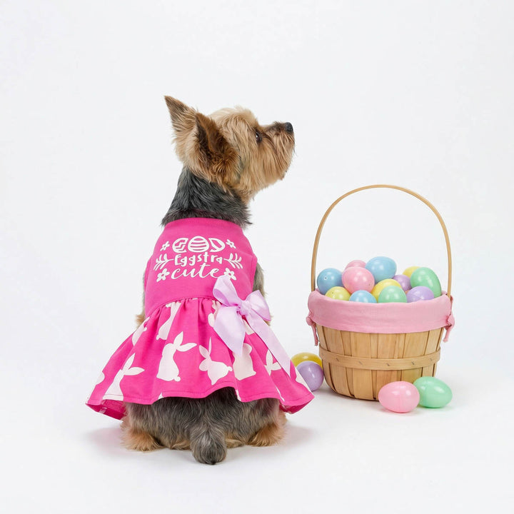 Yorkie sitting beside a basket of Easter eggs with a pink dog Easter dress