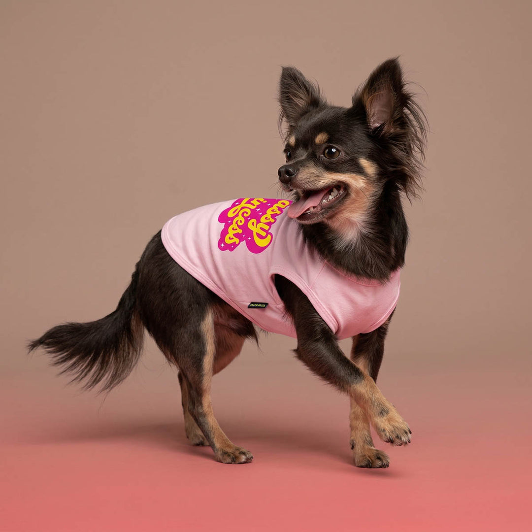 Chihuahua walking in pink background with dog tshirt in 'Sassy Princess' lettering