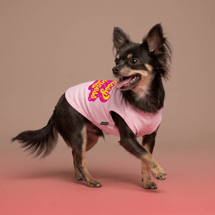 Chihuahua walking in pink background with dog tshirt in 'Sassy Princess' lettering