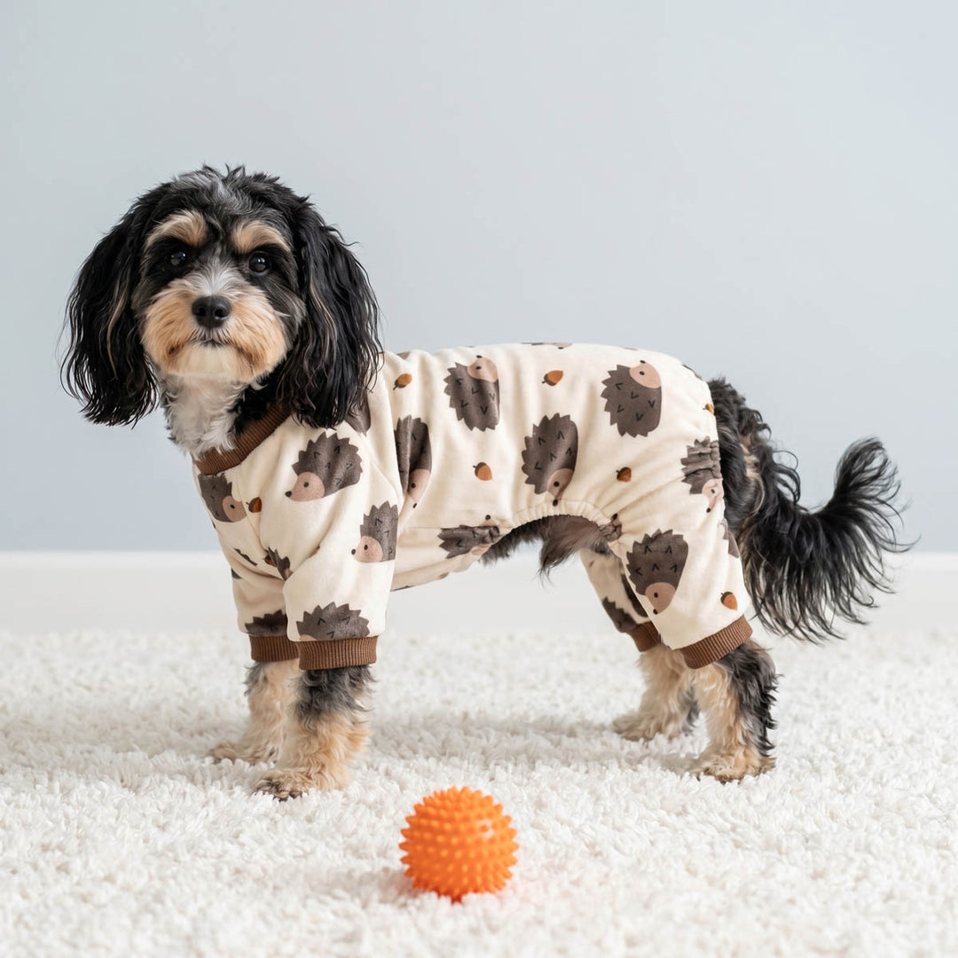 Small dog stand on a blanket with a hedgehog dog pjs
