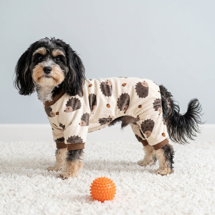 Small dog stand on a blanket with a hedgehog dog pjs