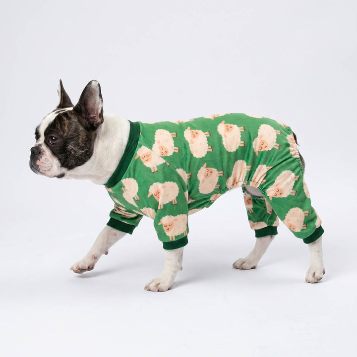 Dog walking in a white background with a green dog onesie