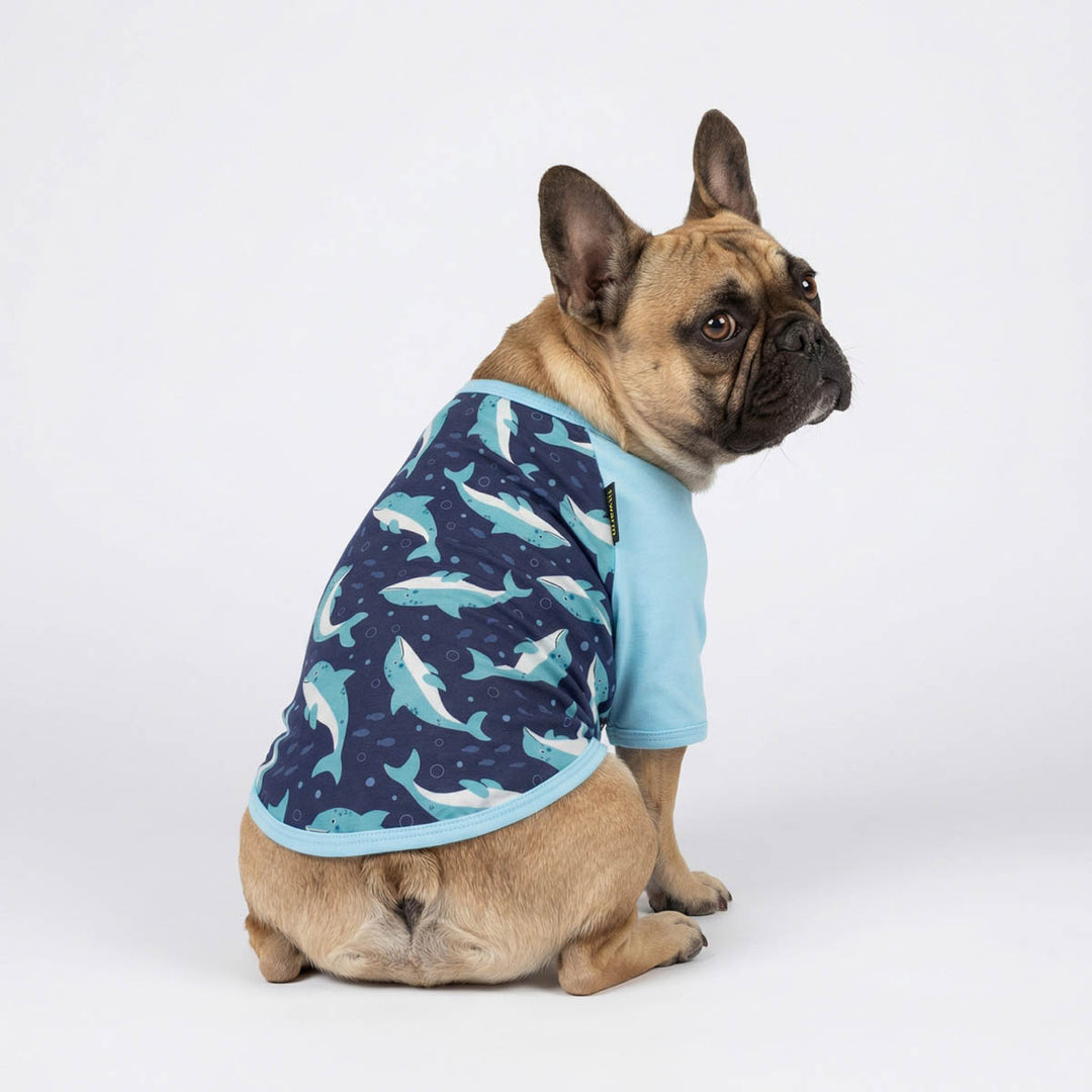 French Bulldog looks back in a dolphin dog tshirt
