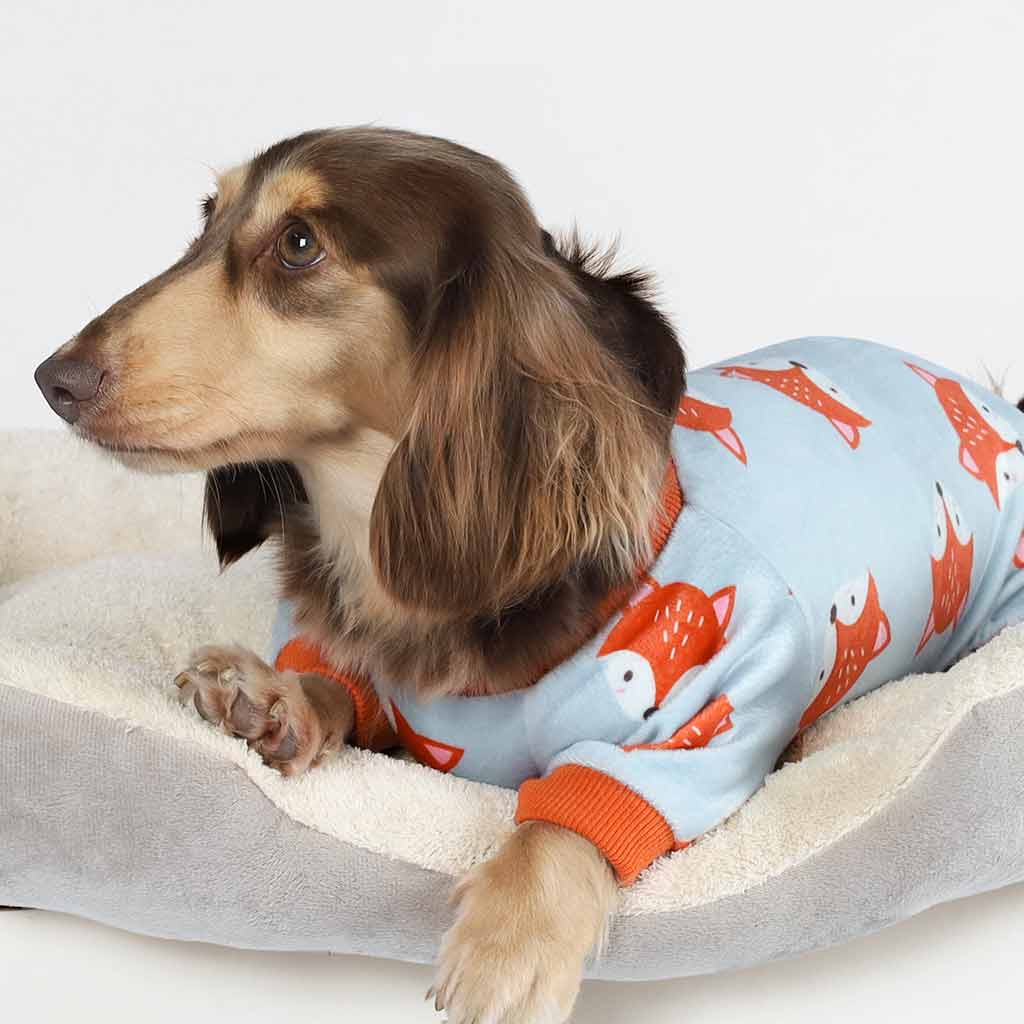 Dachshund in a Fox Print Dog Pajamas - Fitwarm Dog Clothes