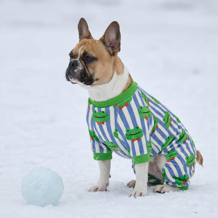 Dog wearing a striped dog pjs with frog pattern in the snow