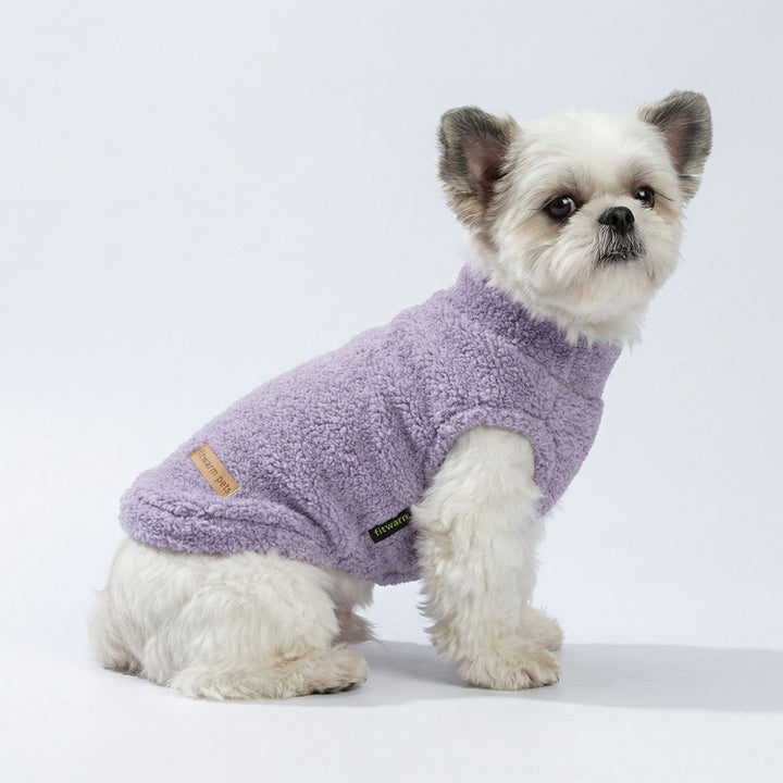 Small dog wearing lavender sherpa dog fleece sweater sitting on white studio background