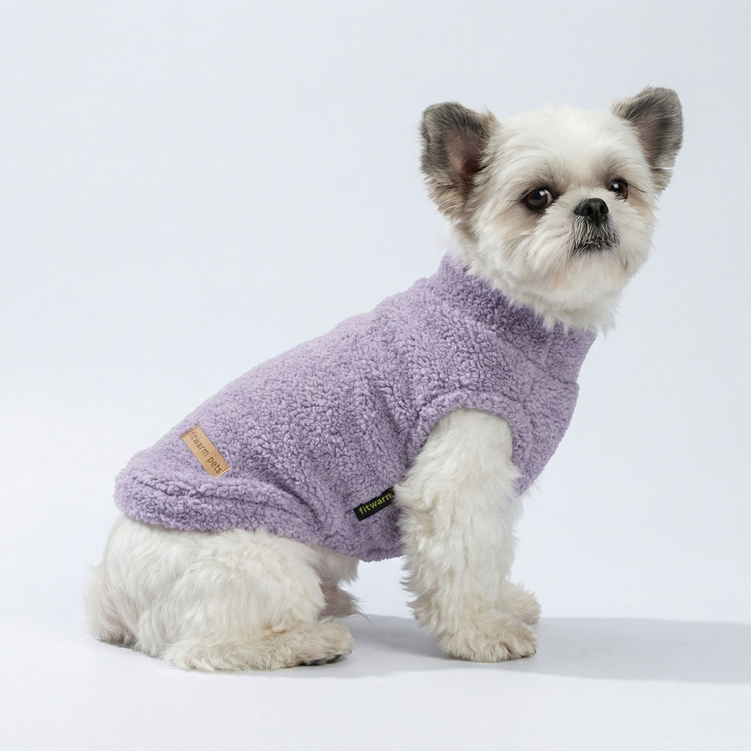 Small dog wearing a purple fleece sweater for dogs on a white background