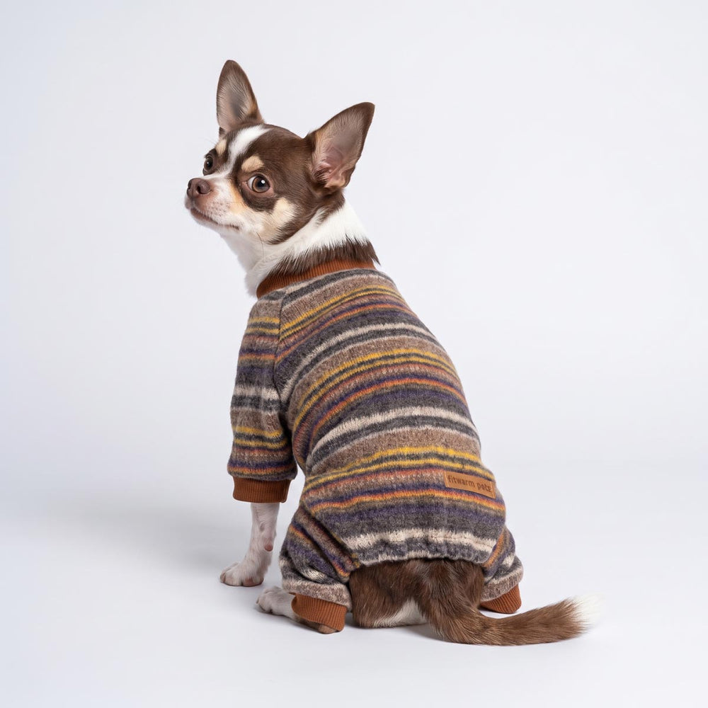 Back view of a Chihuahua sitting on the ground and wearing a knitted pajamas for dogs