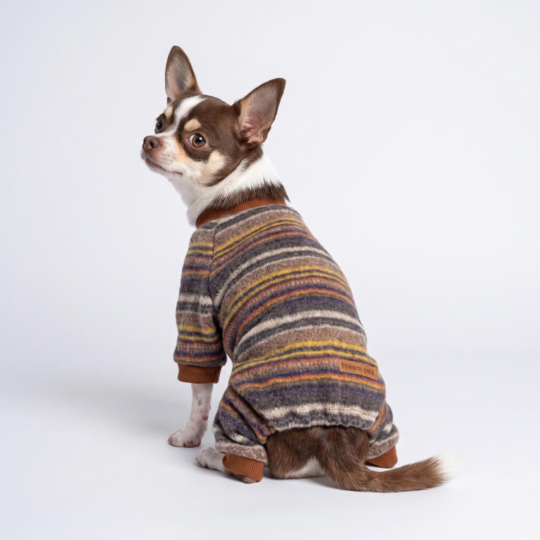 Back view of a Chihuahua sitting on the ground and wearing a knitted pajamas for dogs