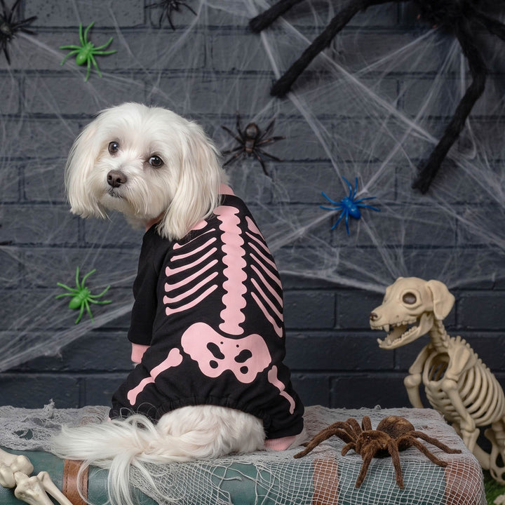 Small white dog wearing a black and pink skeleton-print pajamas for dogs, posed on a table with Halloween props including fake cobwebs, plastic spiders, and a toy skeleton against a dark gray brick wall