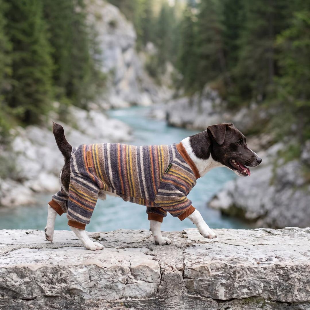 Small black and white dog wearing a striped knit dog pjs walks along a rocky ledge overlooking a river and forest