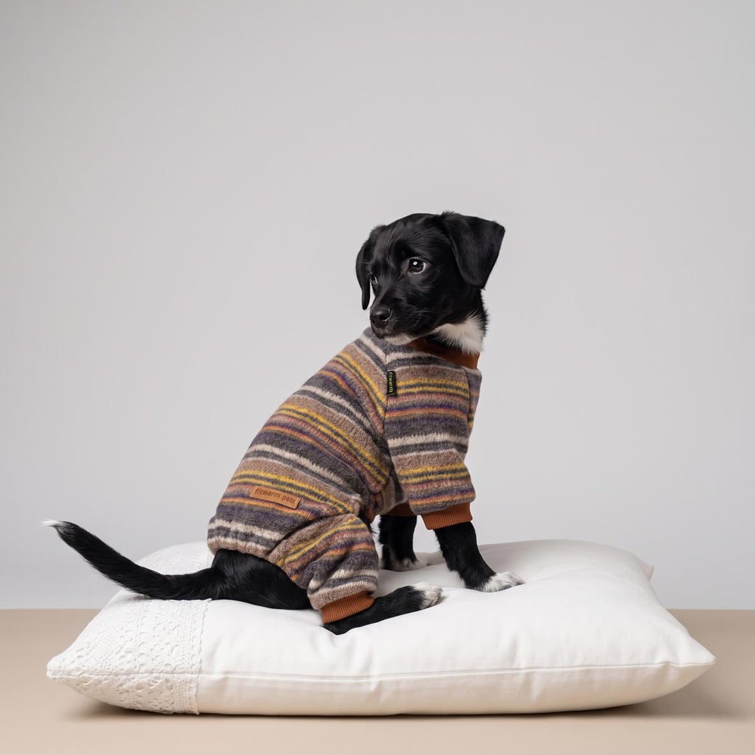 Small black and white dog wearing a cozy, multi-colored striped knit dog onesie, sitting on a white textured cushion against a neutral light gray background