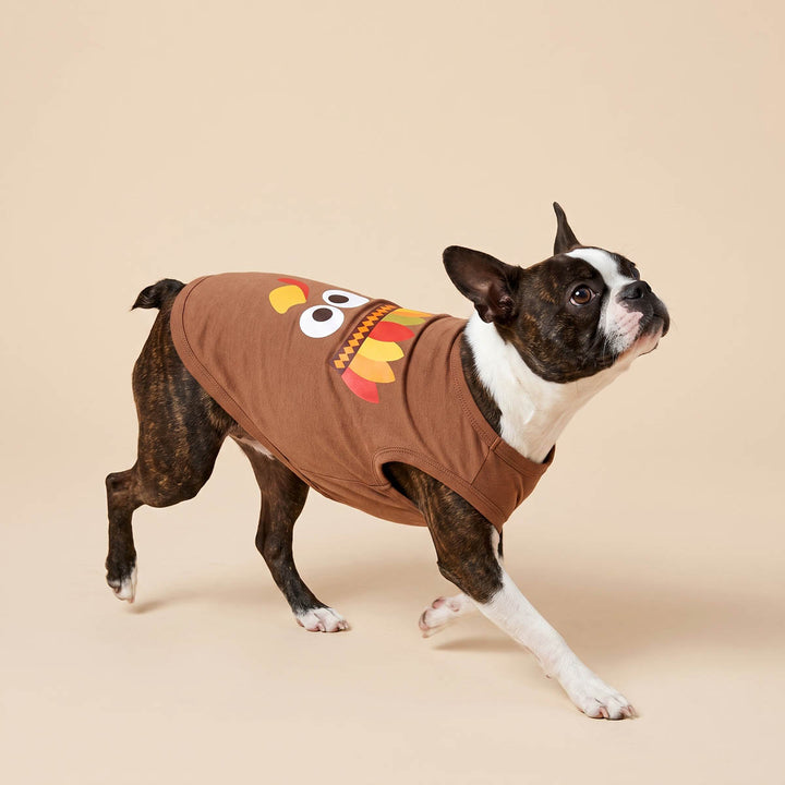 Boston Terrier dog wearing a brown short-sleeve dog tshirt with a turkey face graphic, walking against a solid beige studio background