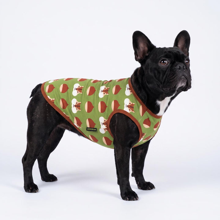 Black French Bulldog wearing a green dog tank top with a pattern of brown acorns and squirrels, standing against a plain white studio background.