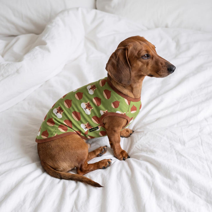 Dachshund wearing a green dog t-shirt with a brown and white pattern, sitting on a white bed