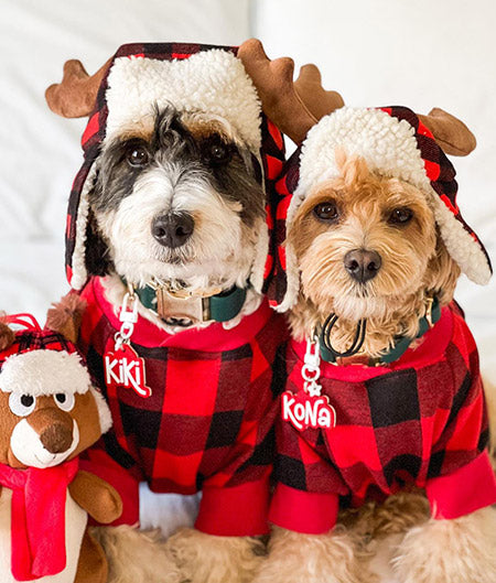 Dog Christmas Outfit - Dog Christmas Sweater, Pajamas - Fitwarm