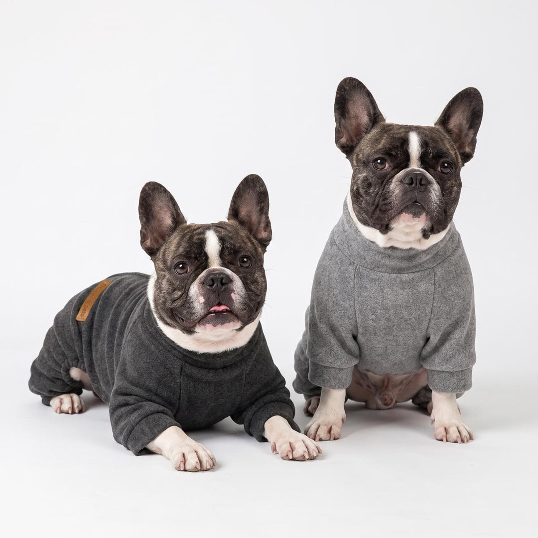 French bulldogs wearing matching gray and dark gray long-sleeve pajamas for dogs posed on a seamless white studio background