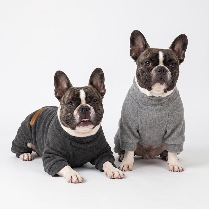 French bulldogs wearing matching gray and dark gray long-sleeve pajamas for dogs posed on a seamless white studio background
