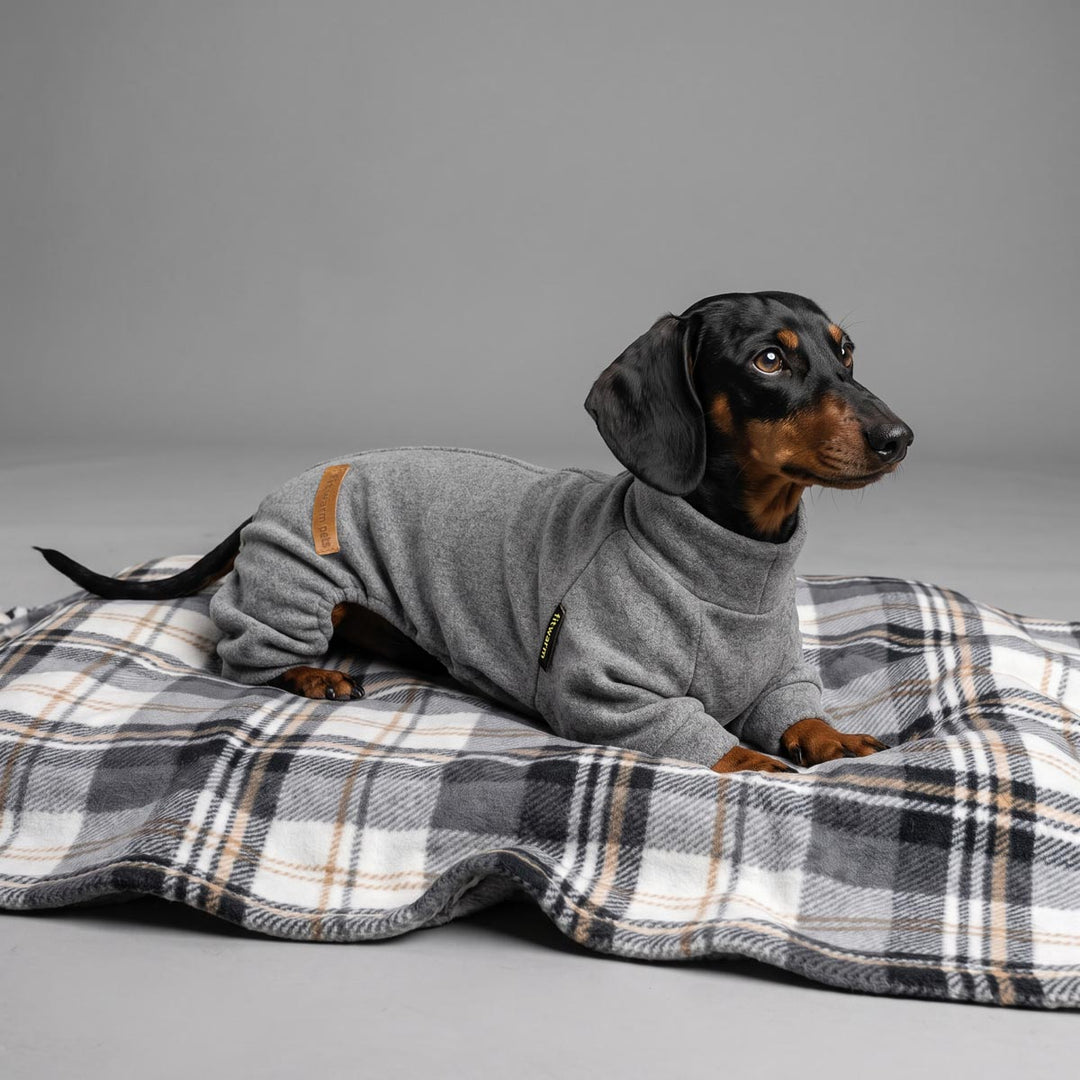 Dachshund wearing a gray knit dog pjs, lying on a black, white, and tan plaid blanket against a solid gray studio background