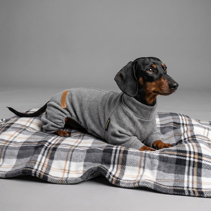 Dachshund wearing a gray knit dog pjs, lying on a black, white, and tan plaid blanket against a solid gray studio background