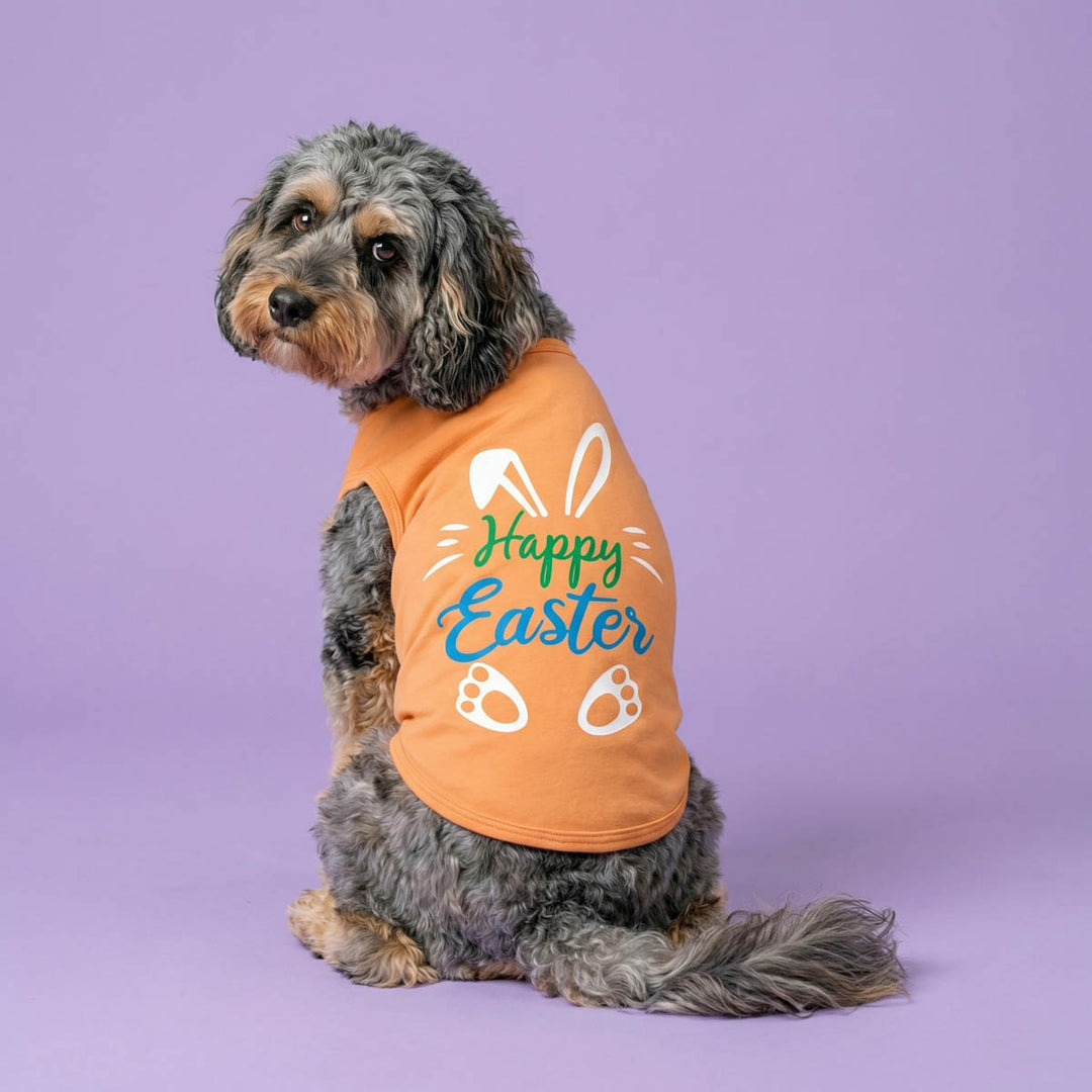 Small dogs looks back with rabbit and 'Happy Easter' lettering