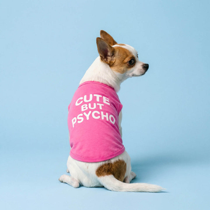 Back view of a dog shirt with 'Cute But Psycho' lettering on a small Chihuahua