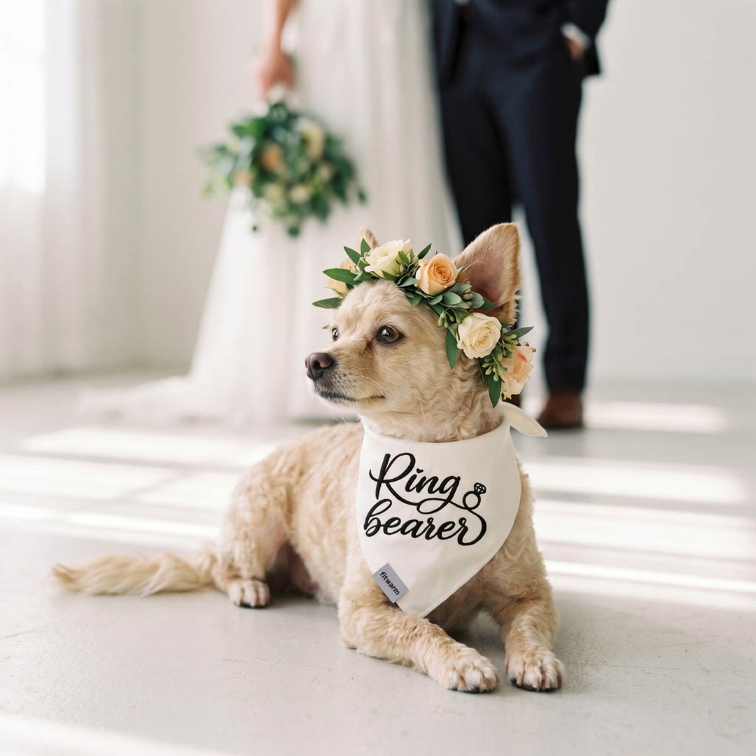 Dog wearing a 'Ring Bearer' dog bandana with a floral crown in a wedding setting.