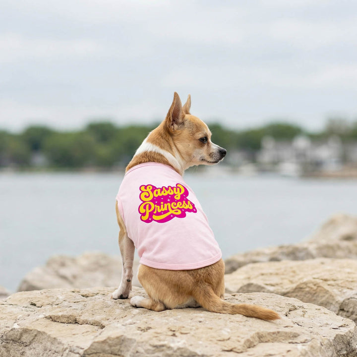 Dog sitting on rocks by a body of water and wearing a pink 'Sassy Princess' dog tank top