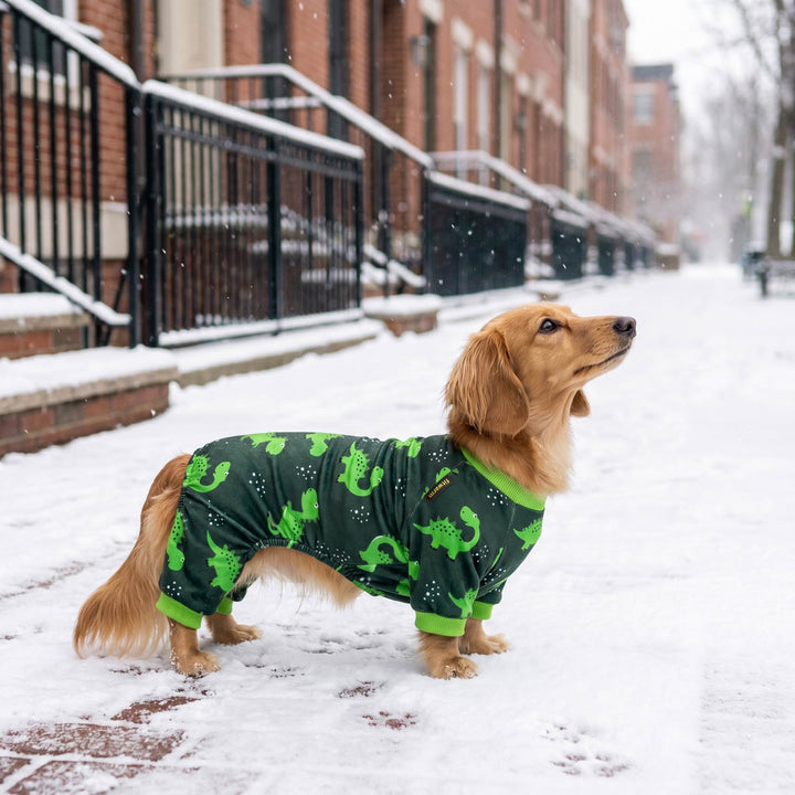 Dachshund wearing a cozy dog onesie and standing on a snowy road