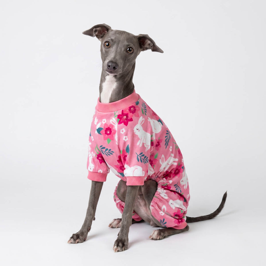 Pink flower and rabbit prints pajamas for dogs worn by a dog sitting in a white background