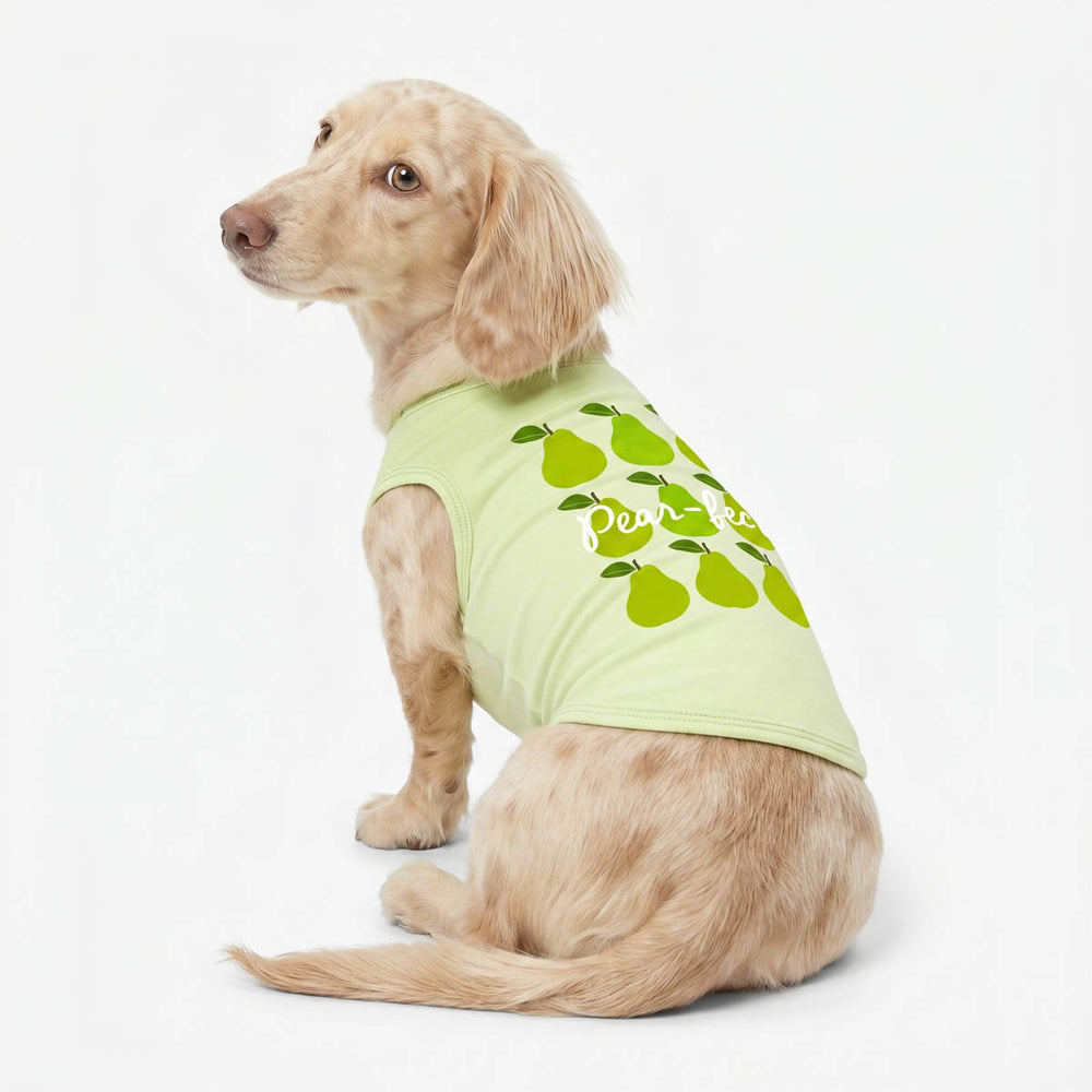 Dachshund wearing a green dog tank top with pear and funny 'pear-fect' lettering