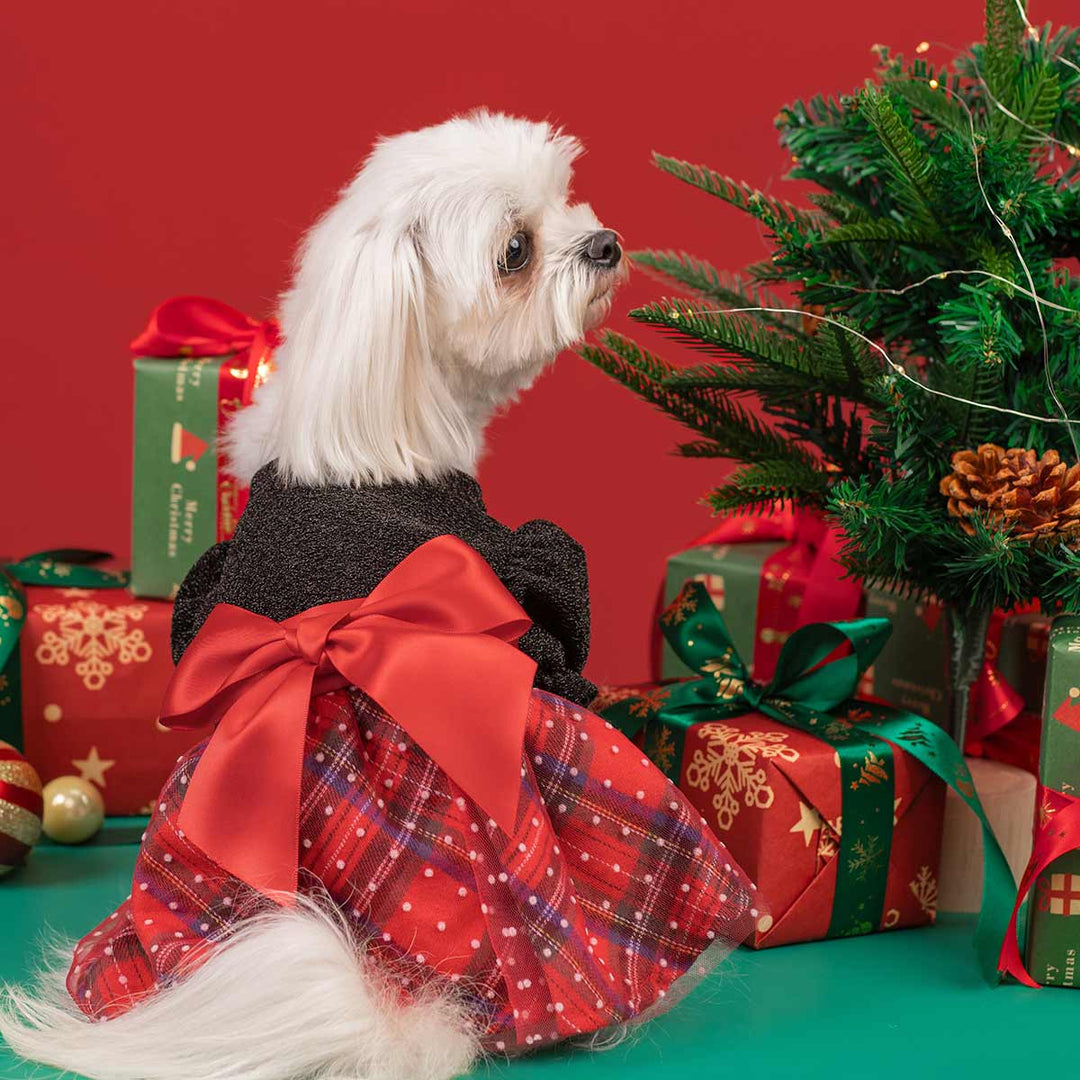 Festive Red Plaid Dog Dress | Holiday Pet Apparel Black / Small Festive Red Plaid Dog Dress | Holiday Pet Apparel Black / Small