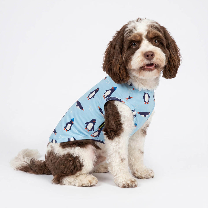 Small dog wearing blue dog tank top with penguin prints