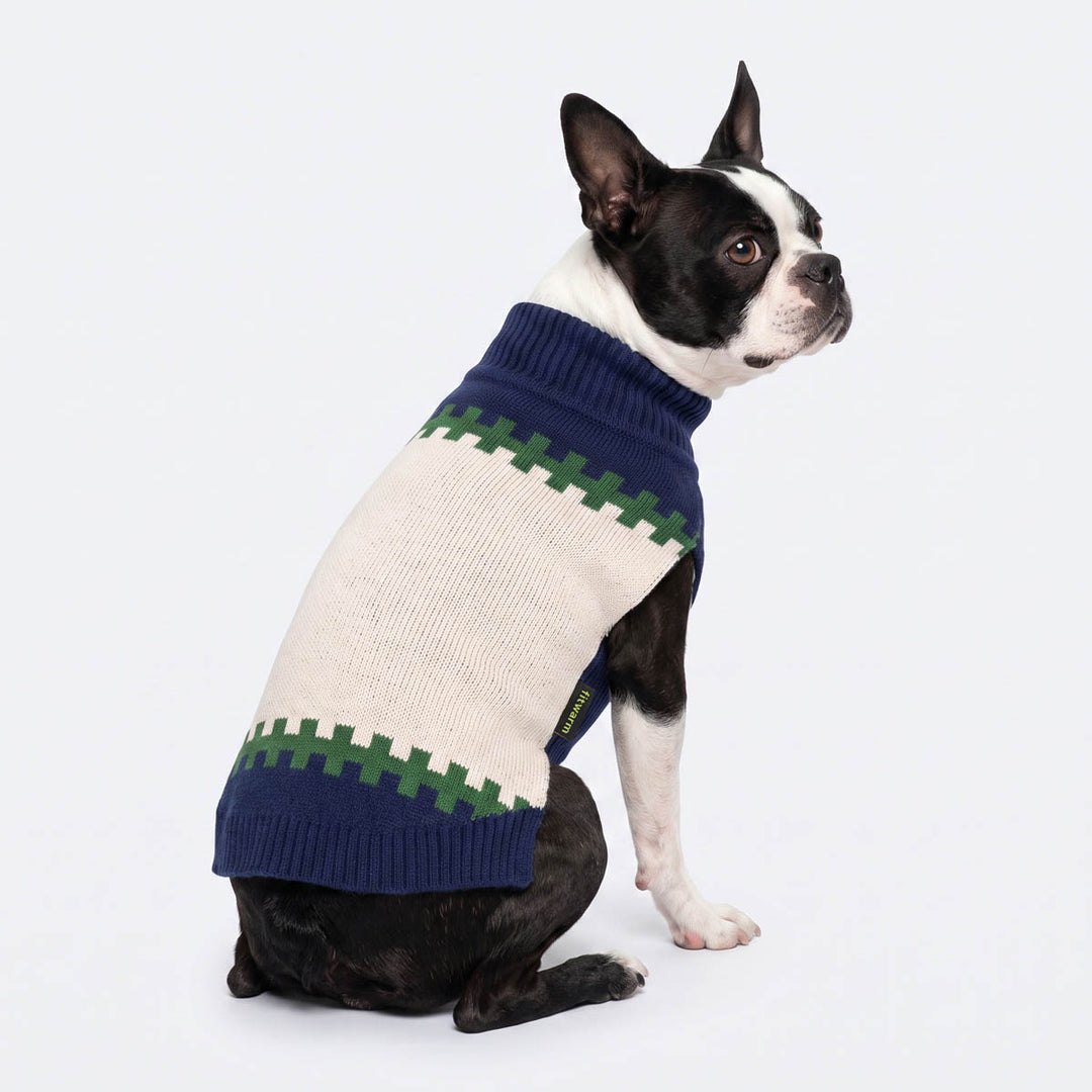 French Bulldog wearing a color block sweater for dogs