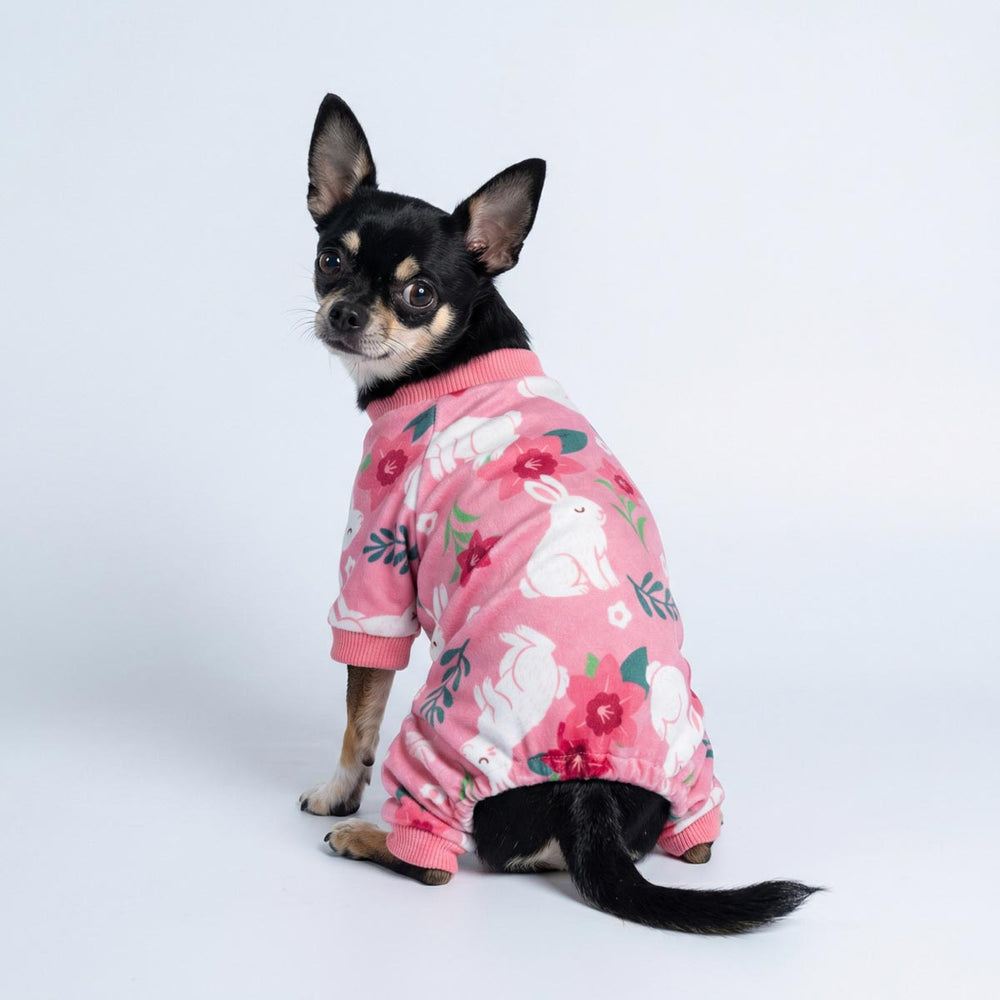 Easter dog pajamas with bunny and flower pattern worn by small Chihuahua