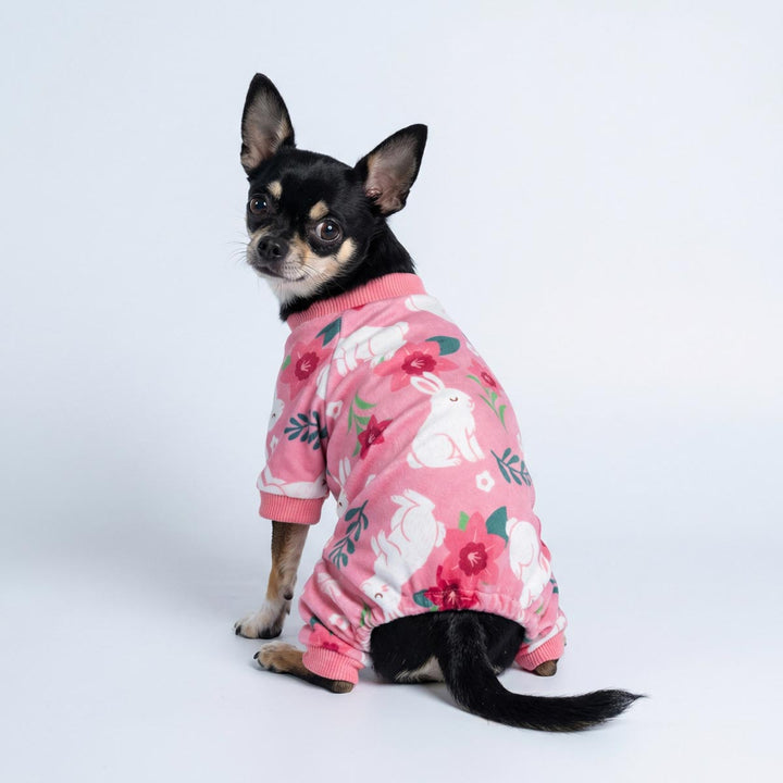 Easter dog pajamas with bunny and flower pattern worn by small Chihuahua
