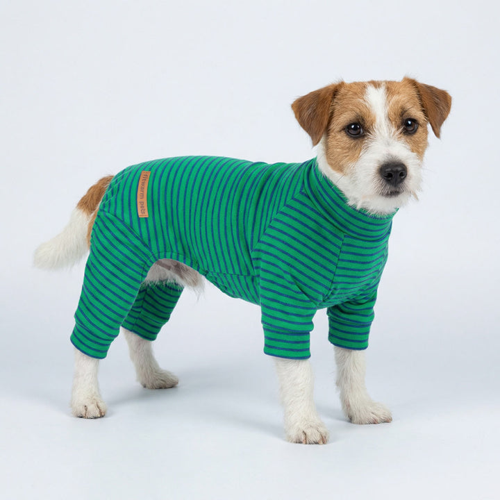 Dog modeling comfortable striped dog pajamas for everyday wear