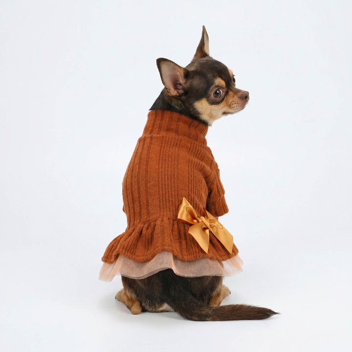 Back view of Chihuahua wearing a dog knitted dress