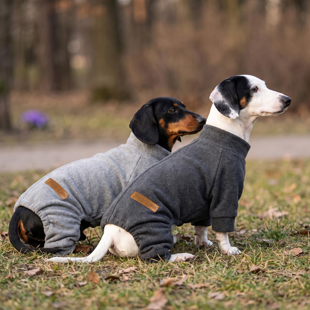 Two dogs sitting on grass in a park-like setting, wearing cozy knit dog onesies