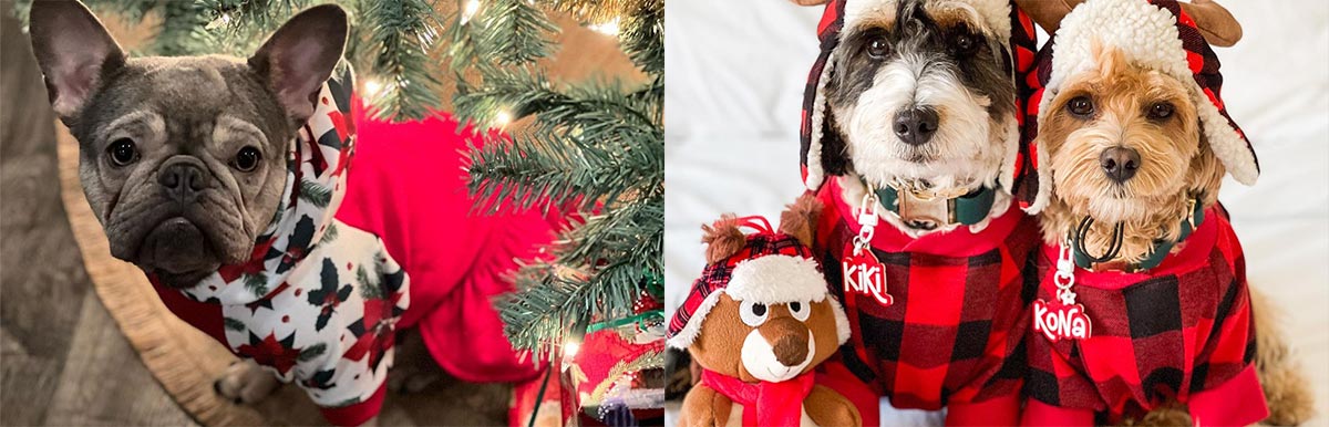 Dog Christmas Outfit - Dog Christmas Sweater, Pajamas - Fitwarm