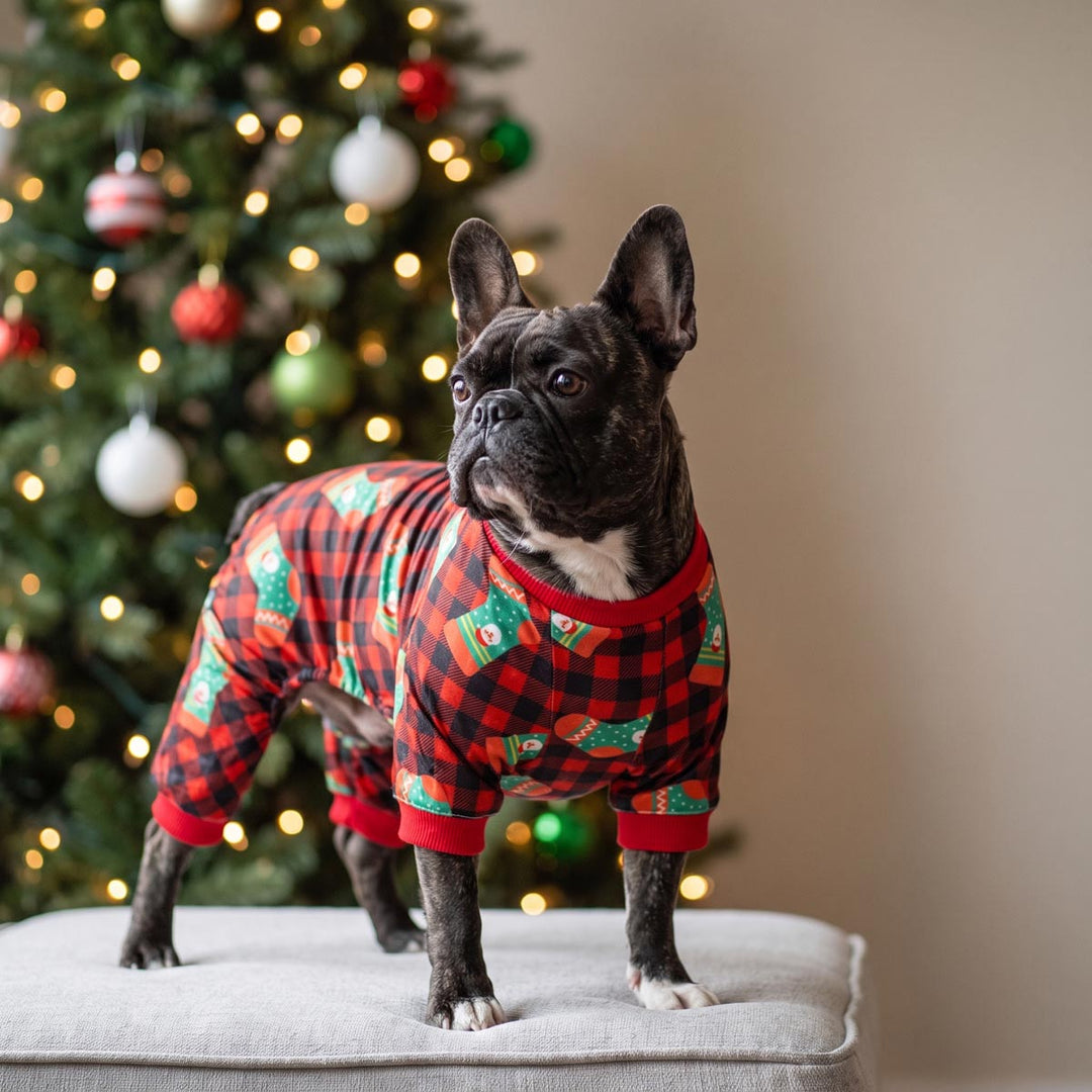 Black French Bulldog wearing red and black plaid Christmas dog onesie with green holiday accents, standing on a light gray cushioned stool in front of a decorated Christmas tree